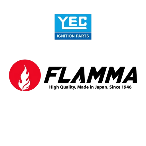 YEC/FLAMMA