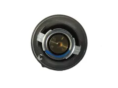 Termostato SHIN HWA/AM 25500-2A100