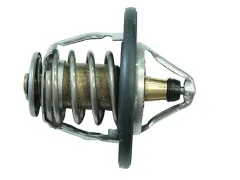 Termostato foto 1