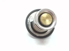 Termostato foto 2
