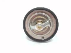 Termostato foto 3