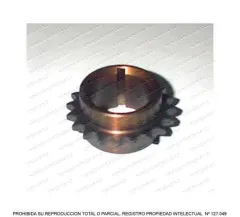 Pinon Ciguenal OSK D-21 Z20/24