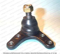 Rotula inferior