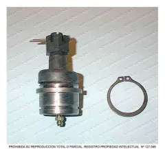 Rotula Inferior AND S-10376