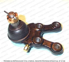 ROTULA INFERIOR