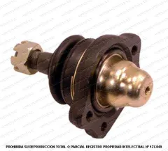 Rotula Superior AND CB0296