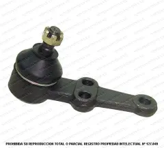 Rotula Inferior AND CB0295