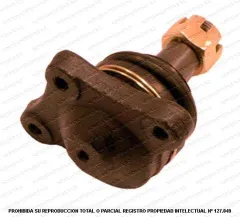 Rotula Superior AND CB0231