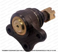 Rotula Inferior AND CB0232