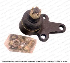 Rotula inferior