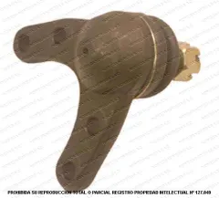 Rotula Inferior AND CB0279