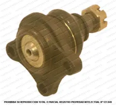 Rotula Superior AND CBM-22
